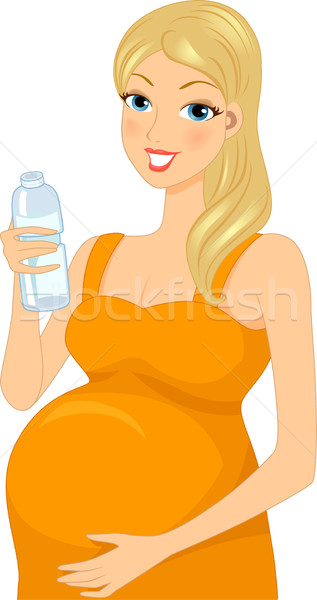 Kobieta w ciąży pitnej woda butelkowana ilustracja kobieta zdrowia Zdjęcia stock © lenm