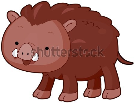 公豬 背面 插圖 動物 可愛 商業照片 © lenm