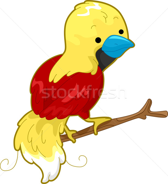 Vogel Paradies Illustration farbenreich Ast Natur Stock foto © lenm