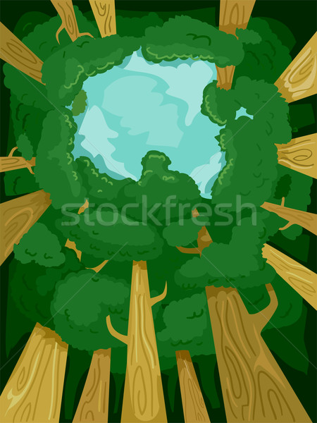 Tree Canopy Stock photo © lenm