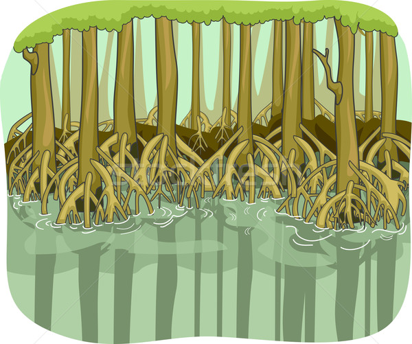 Sumpf Illustration Wurzeln Wasser Natur Fluss Stock foto © lenm