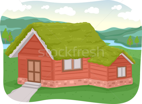 Green Roof Stock photo © lenm