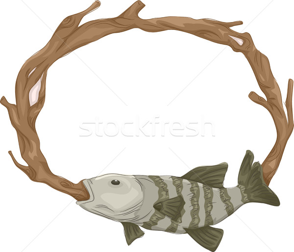 Frame Taxidermy Fish Mount Stock photo © lenm