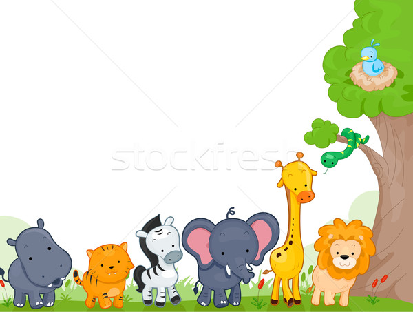 Dier koninkrijk illustratie verschillend jungle dieren Stockfoto © lenm