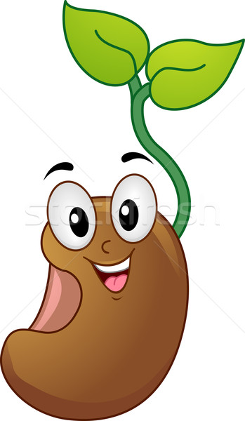 Plântula mascote ilustração sorridente alegremente planta Foto stock © lenm