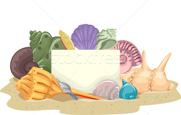 Shells Blank Board Stock photo © lenm