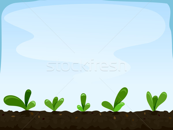 Sämlinge Illustration Zoll abgesondert Bett Pflanzen Stock foto © lenm