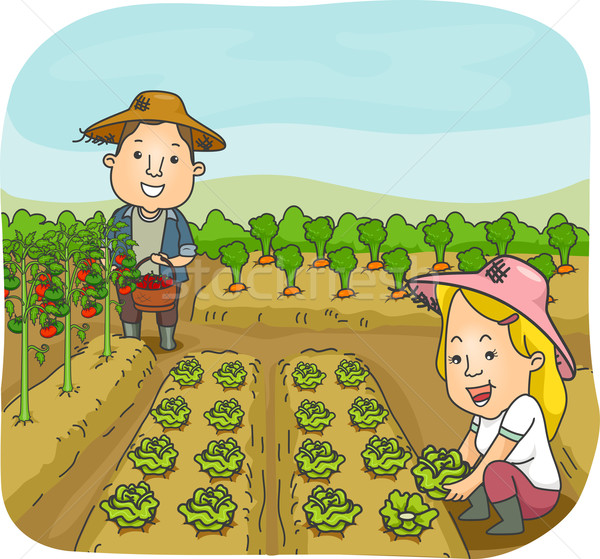 Colheita casal ilustração homem mulher colheita Foto stock © lenm
