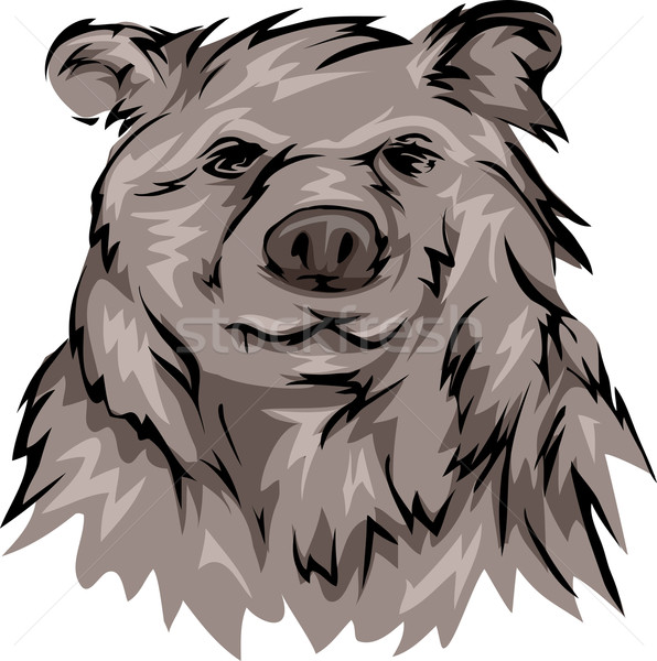 Grizzly bear illustrazione società animale cartoon linee Foto d'archivio © lenm