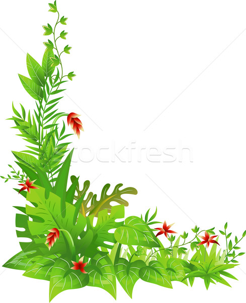 Stockfoto: Jungle · hoek · grens · illustratie · planten · groene