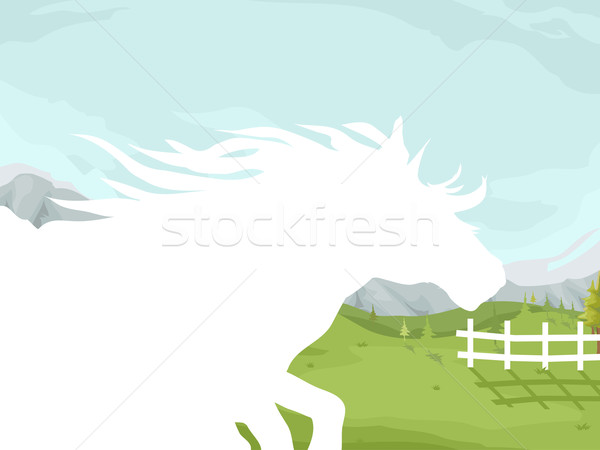 Horse Silhouette Field Stock photo © lenm