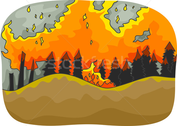 Bosbrand illustratie lang bomen brandend bos Stockfoto © lenm