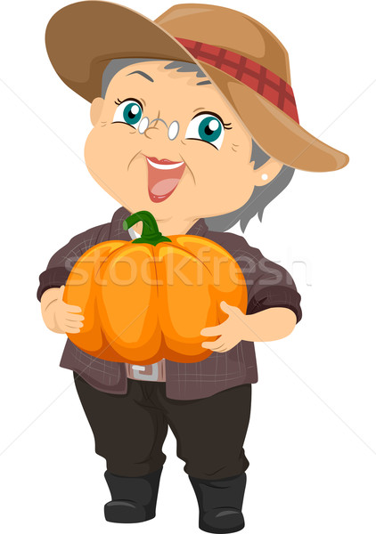 Pumpkin Harvest Stock photo © lenm