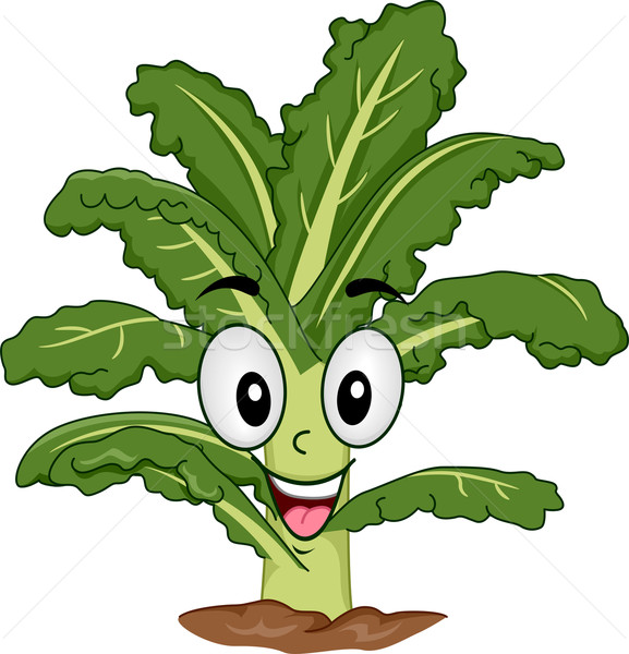 Mascot Kale Planted Stock photo © lenm