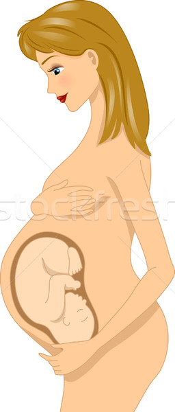 孕婦 胎兒 插圖 圖像 肚 商業照片 © lenm