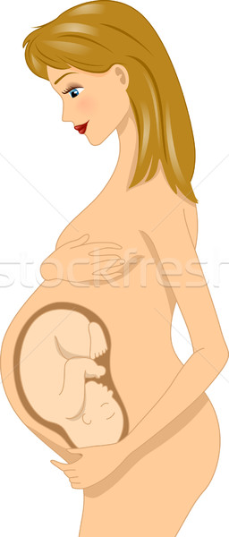 50+ Grávida Com A Barriga Do Bebê Dentro Ilustração de stock, gráficos  vetoriais e clipart royalty-free - iStock