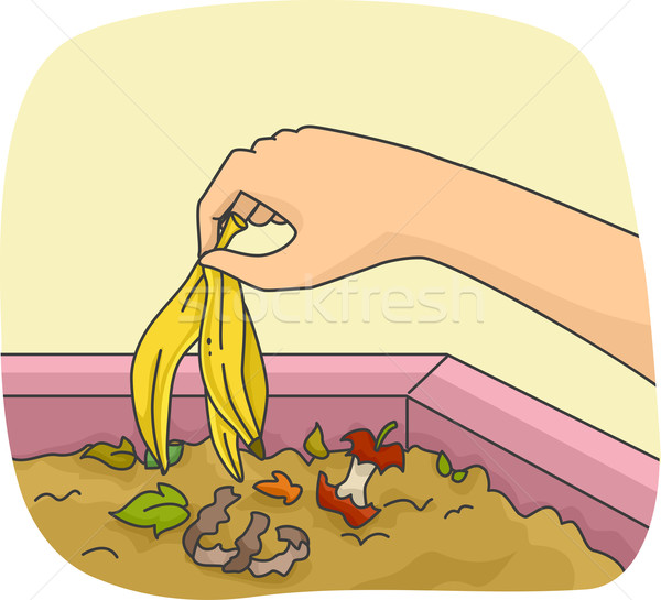 Hand Bananen Schale Illustration Person Umwelt Stock foto © lenm