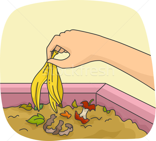 Hand Banana Peel Compost Stock photo © lenm