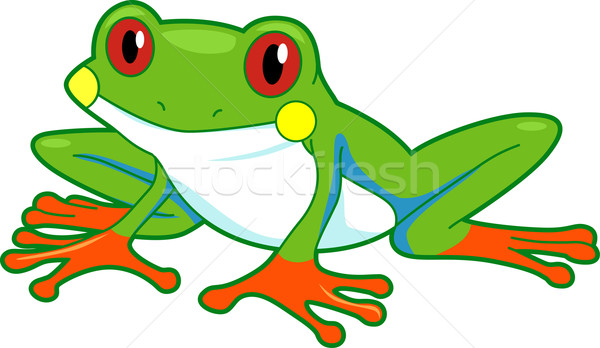 [[stock_photo]]: Forêt · tropicale · grenouille · illustration · cartoon · vecteur · isolé