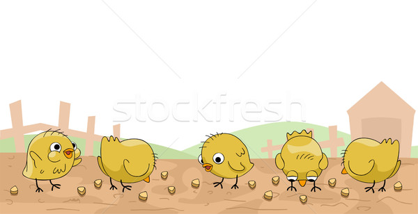Сток-фото: цыплят · кукурузы · иллюстрация · Cute · мало