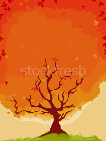 Maple Tree Stock photo © lenm