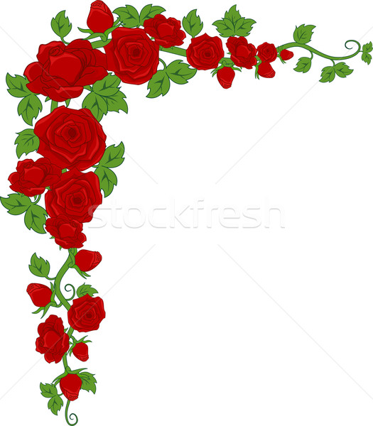 Stieg Ecke Grenze Illustration rote Rosen Blume Stock foto © lenm