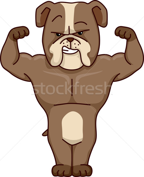 Fort chien illustration musculaire fitness animaux [[stock_photo]] © lenm