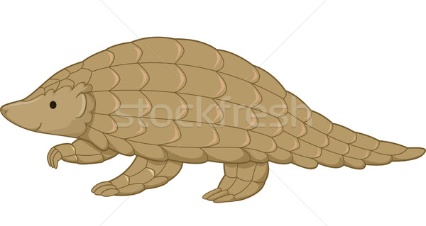 Pangolin Vector Illustration C Lenm 4425975 Stockfresh