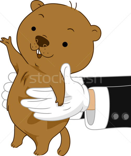 Groundhog Stock photo © lenm