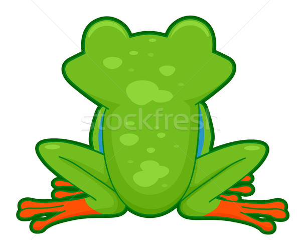 Tree Frog Back Stock photo © lenm
