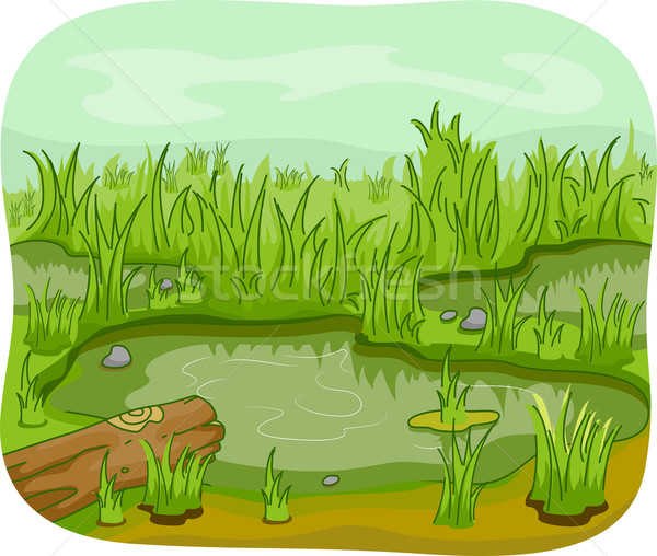 Wetlands Stock photo © lenm