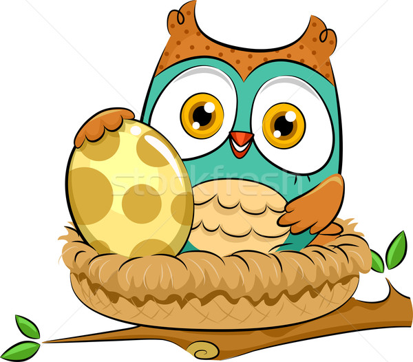 Baykuş yuva örnek yukarı yumurta oturma Stok fotoğraf © lenm