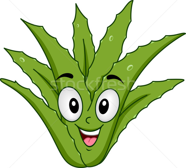 Maskottchen Aloe Illustration lächelnd glücklich Vektor Stock foto © lenm