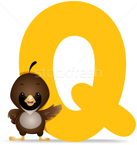 Q for Quail Stock photo © lenm