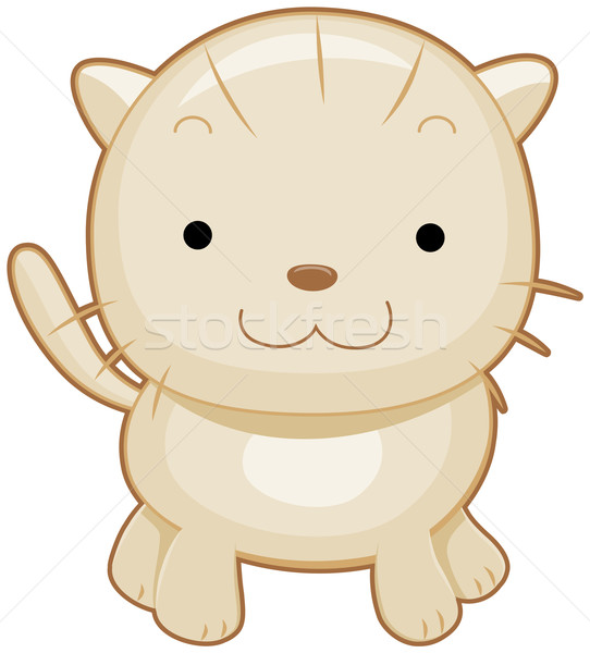 [[stock_photo]]: Cute · chat · chubby · permanent · isolé · blanche