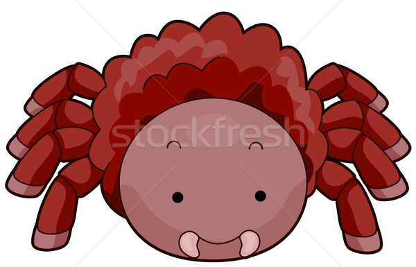 Tarántula ilustración peludo cute vector fauna Foto stock © lenm