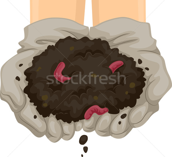 Stock photo: Vermicast Soil Hands