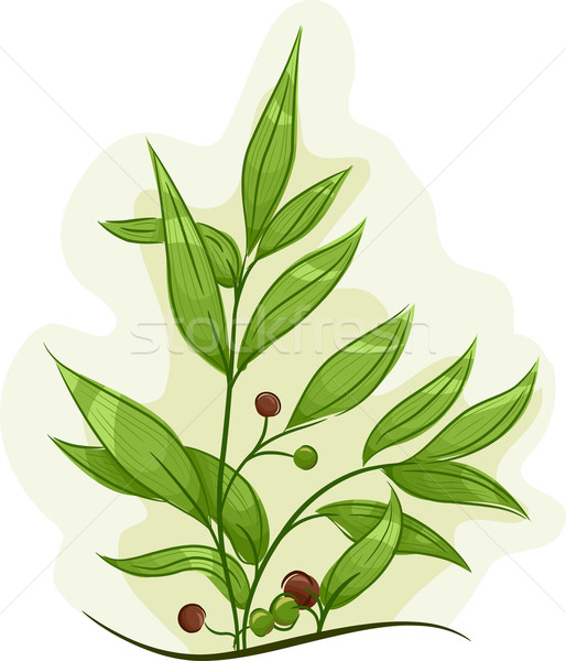 tea plant clipart