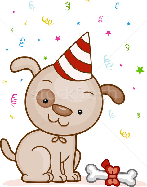 ストックフォト: パーティ · 動物 · 実例 · 犬 · 着用 · 帽子