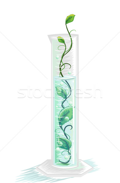 Stock photo: Graduated Cylinder Herbal Solution