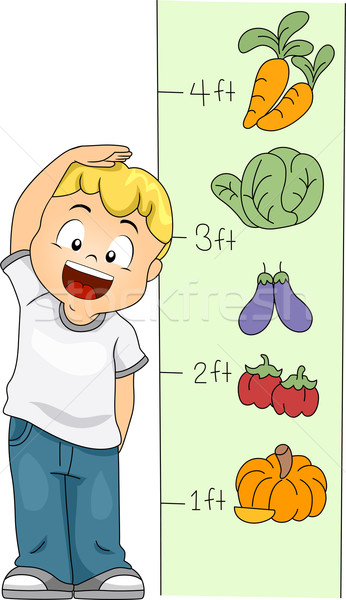 Altura medição ilustração criança criança Foto stock © lenm