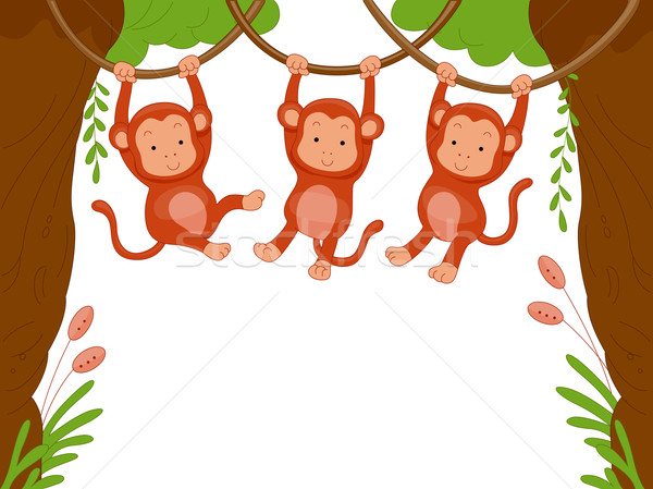 Maimute trei pădure natură fundal mediu Imagine de stoc © lenm
