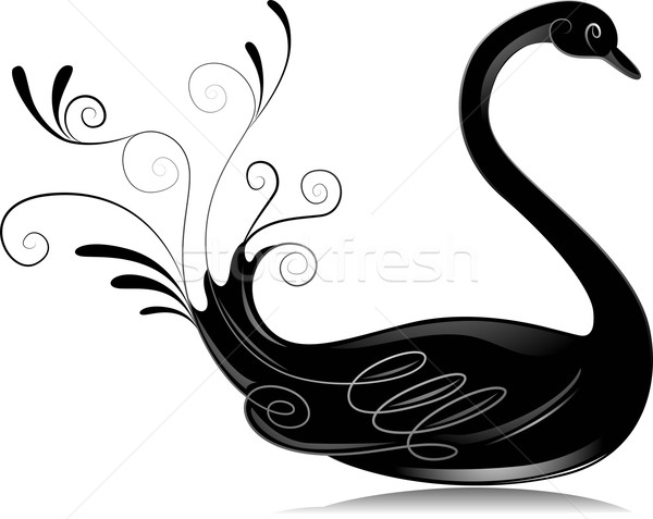 [[stock_photo]]: Blanc · noir · cygne · illustration · belle · design · noir · et · blanc