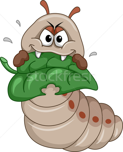 Raupe Maskottchen Illustration Essen essen Insekt Stock foto © lenm