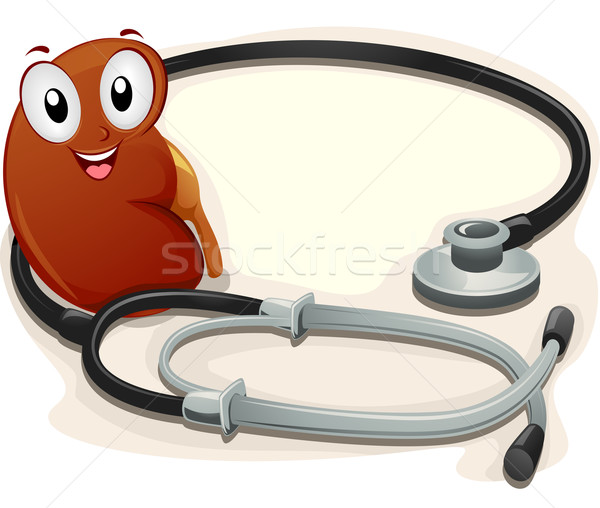 Maskotka nerka stetoskop ilustracja obok zdrowia Zdjęcia stock © lenm