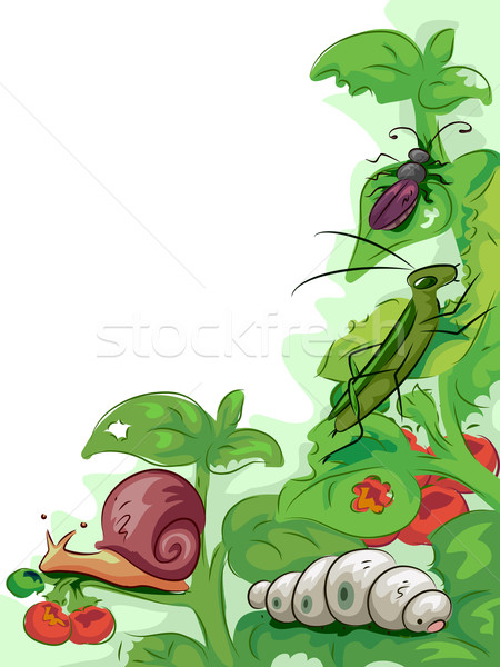 Növények illusztráció kert állatok grafikus csiga Stock fotó © lenm