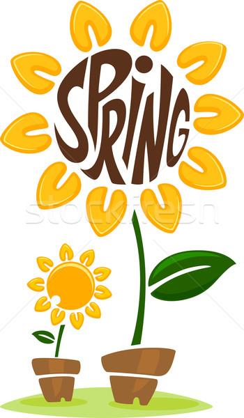 Girasole illustrazione fioritura primavera giardino impianti Foto d'archivio © lenm