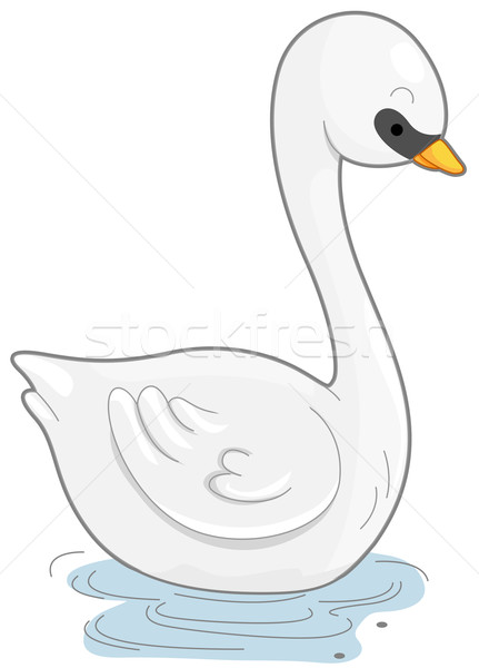 Cygne cute eau blanche oiseau [[stock_photo]] © lenm