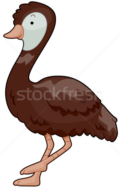 Emeu ilustrare drăguţ uita in jurul pasăre Imagine de stoc © lenm