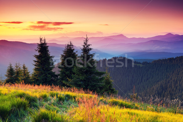 Munte peisaj dimineaţă colorat nor Imagine de stoc © Leonidtit